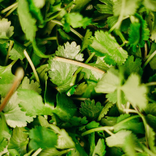 picture of parsley leaves, a rutin rich herb
